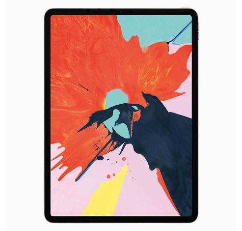 Refurbished iPad Pro 12.9 Inch 512GB Wifi + 4G (2018) Space Grey B Grade  Apple