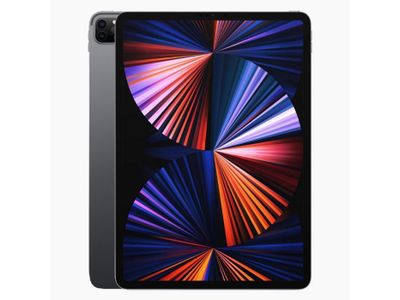 Refurbished iPad Pro 12,9 Inch (2021) 128GB Wifi + 5G Space Grey A Grade