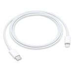 USB-C to Lightning Cable (1m) 