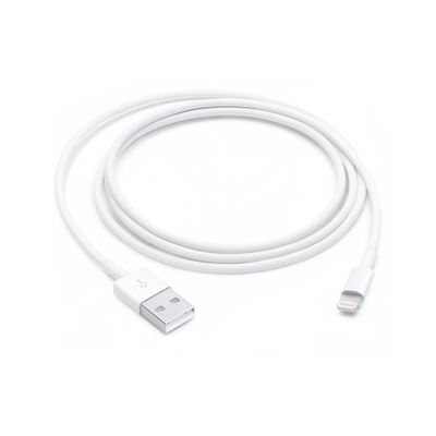 Lightning to USB Cable (1m) 