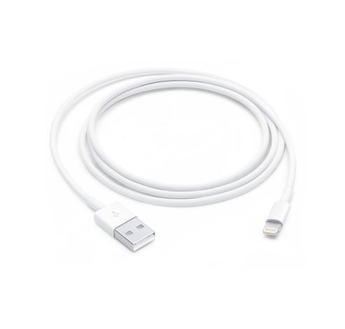 Lightning to USB Cable (1m)  Apple