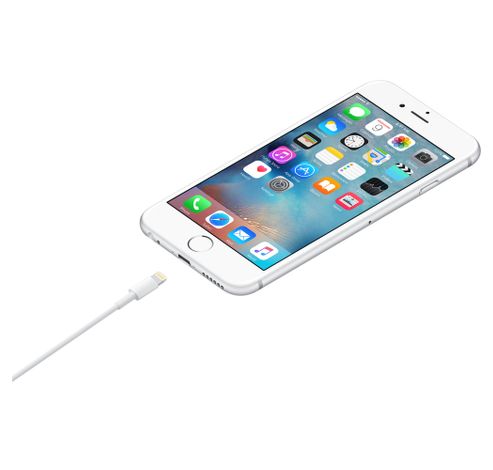 Lightning to USB Cable (1m)  Apple