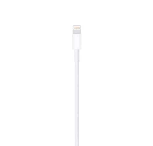 Lightning to USB Cable (1m)  Apple