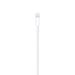 Apple Lightning-naar-USB-kabel (1 m)