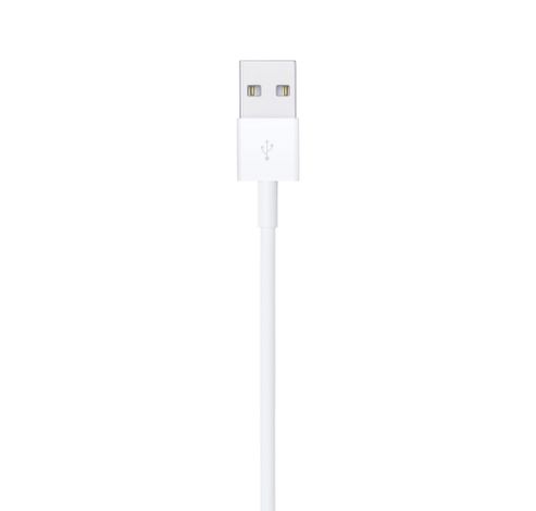 Lightning to USB Cable (1m)  Apple