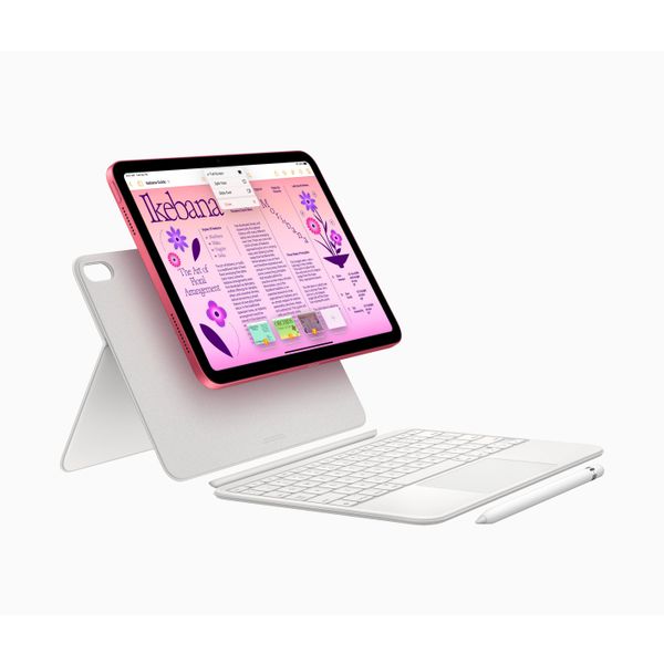 10.9-inch iPad WiFi 256GB Pink 