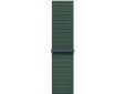 Apple 46mm lake green sport loop