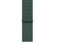 Apple 42mm lake green sport loop