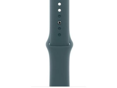 Apple 42mm lake green sport band m/l