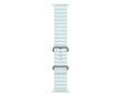 Apple 49mm ice blue ocean band tita fini