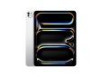 13inch iPad Pro M5 WiFi + Cellular 256GB standard glass Silver