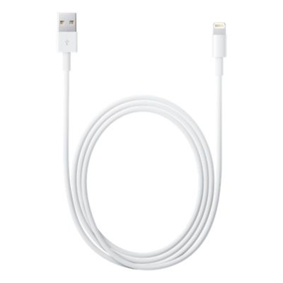 Lightning to USB cable 0.5 m  Apple