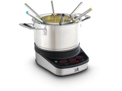 FO 4290 Intelligent Fondue