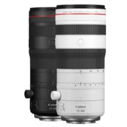 Canon RF 70-200mm F2.8L IS USM Z White 