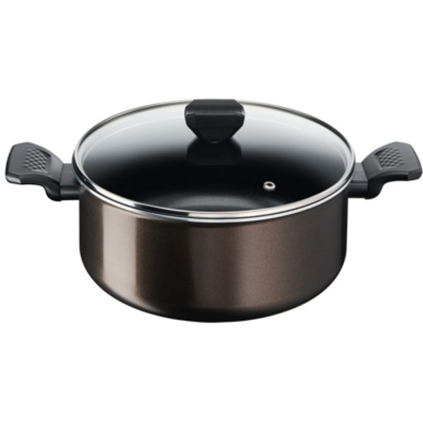 Tefal Easy Cook & Clean Kookpot D24cm Alle Vuren Behalve Inductie