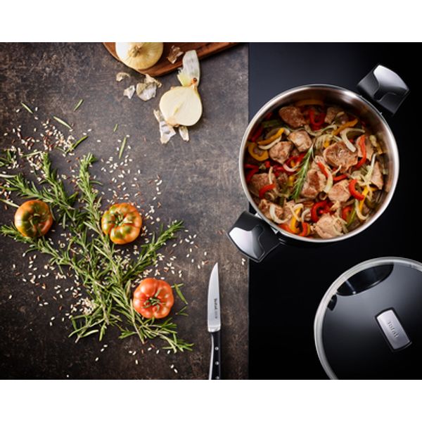 Tefal Emotion Kookpot 24cm