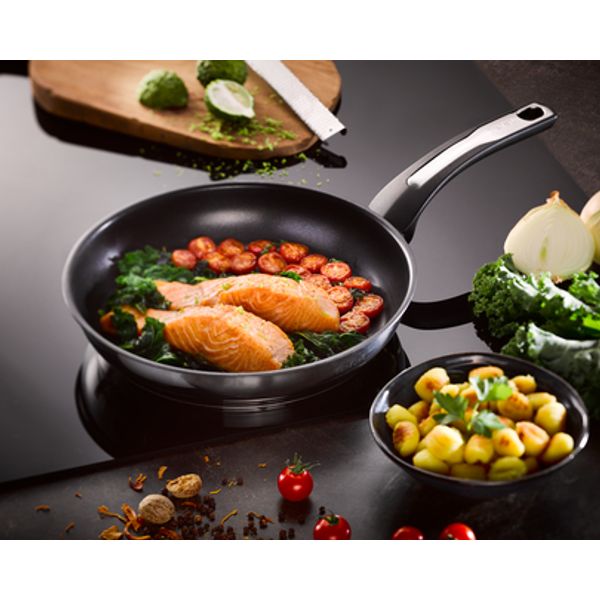 Tefal Emotion Braadpan Antikleef 20cm