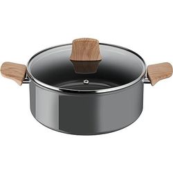 Tefal C4254613 Casserole 24 cm RENEW 