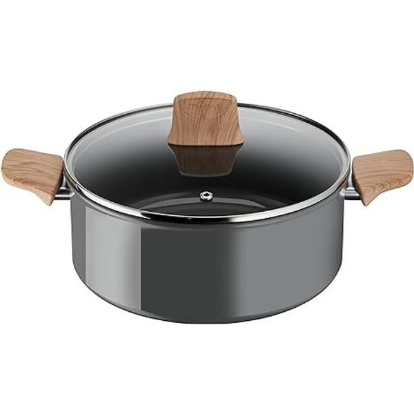 Tefal C4254613 Renew Kookpot 24cm