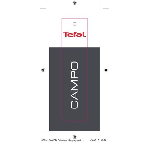 K3032014 Campo Bouteille isotherme 1L chrome  Tefal