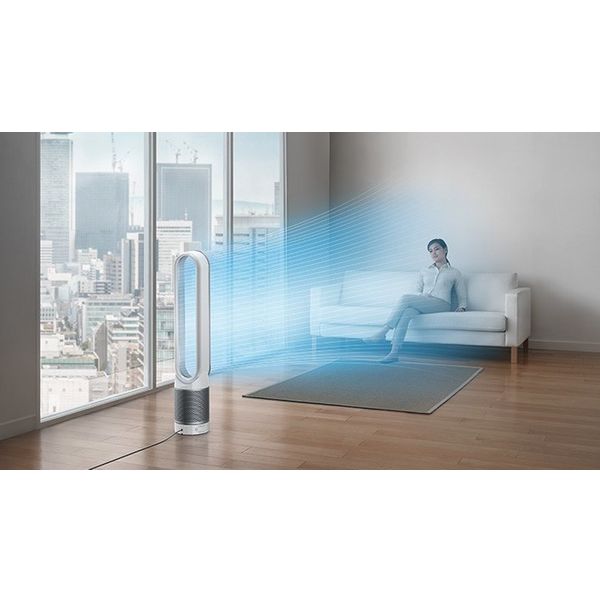 Dyson Pure Cool Link™ wit