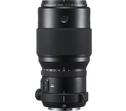 GF 250mm F4 R LM OIS WR Fujifilm