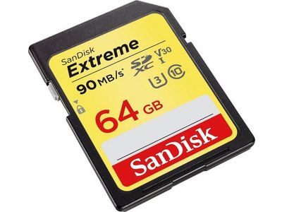 SD Extreme 64GB 90MB/S V30 173356  