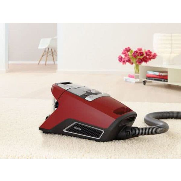 Miele Blizzard CX1 Cat & Dog PowerLine Mangorood