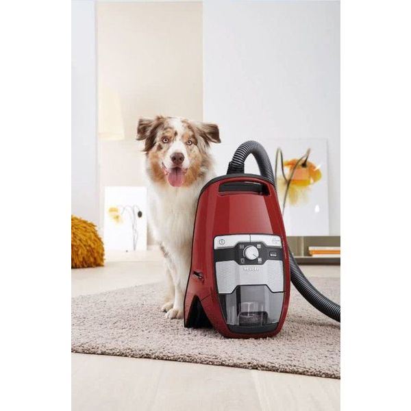 Blizzard CX1 Cat & Dog PowerLine Mangorood Miele