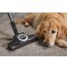 Complete C3 Cat&Dog Flex PowerLine Mangorood Miele