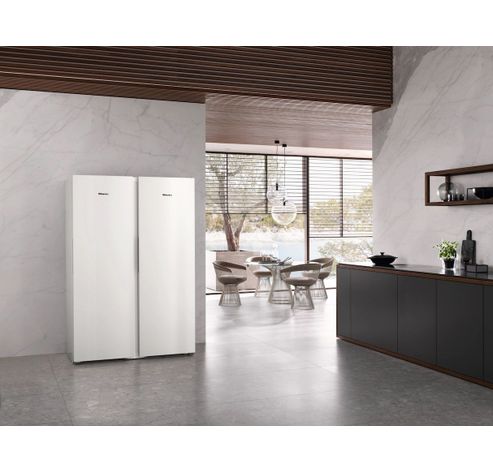 FNS 4382 D  WS  Miele