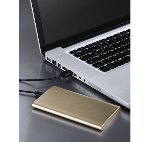 Premium Alu 8000 mAh goud  Hama