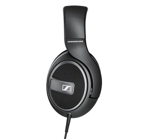 HD 559  Sennheiser