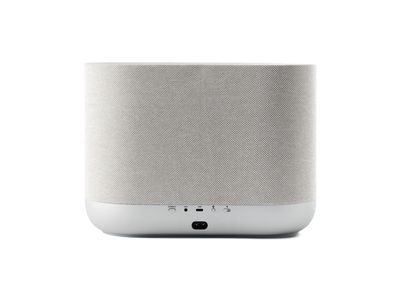 Home 400 Draadloze smart speaker Silver Stone