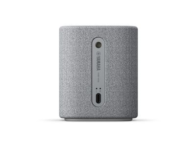 True X SPEAKER 1A Light Grey