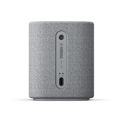 True X SPEAKER 1A Light Grey 