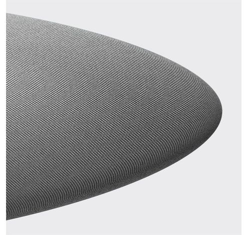 Zeppelin 2021 Pearl Grey  Bowers & Wilkins