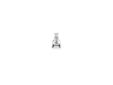 SW-101 Crown Afsluiter voor Mousserende Wijn Satin Chrome