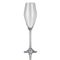 Set van 4 Champagne flutes 