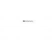 Spiraal voor LM-200/300/350/2000 in RVS