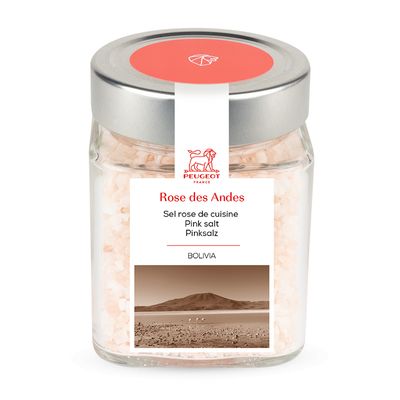 Cube à épices - Sel rose des Andes  Peugeot