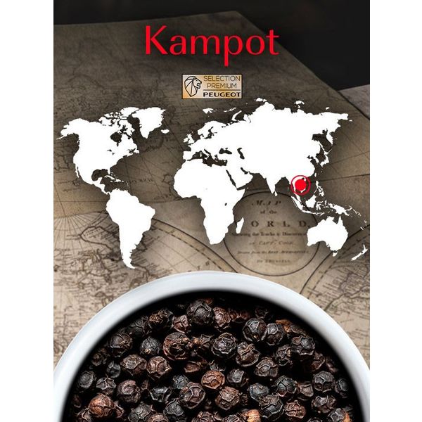 Peugeot Kampot Zwarte peper uit Cambodja, 60 g - 3 vershoudzakjes van 20 g