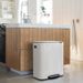 Brabantia Bo Pedaalemmer 2x30l White