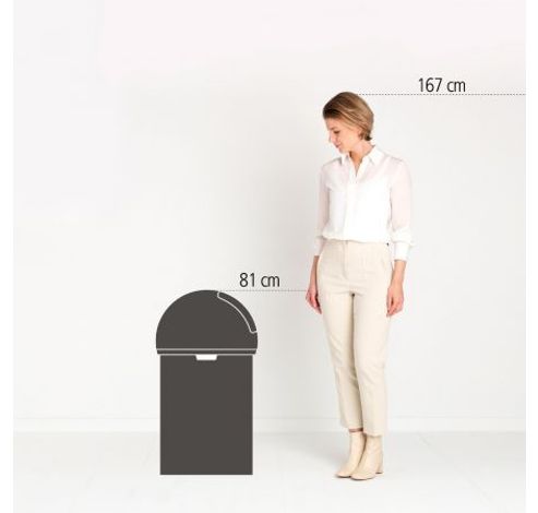 Push Bin poubelle 60 litres Brilliant Steel  Brabantia