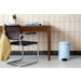 Brabantia NewIcon pedaalemmer 12 liter met kunststof binnenemmer Dreamy Blue