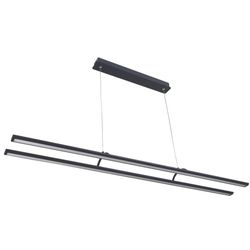 Fantasia LINO LED 2x24Watt 3290lm Pendant 3000K black