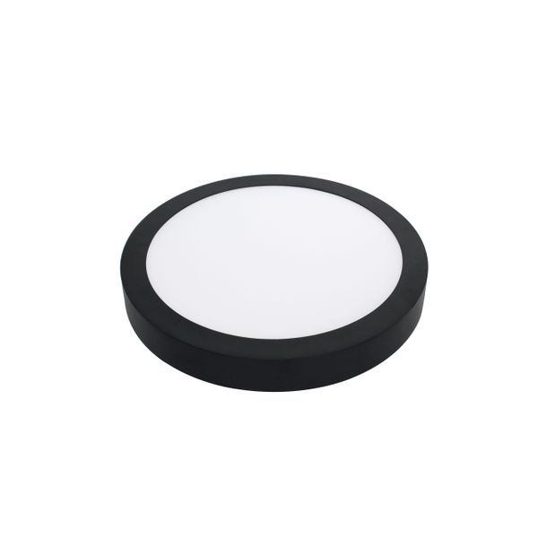 Fantasia FLUKE  CCT rond 24W SMD LED 3000K 1920lm diam.30 black