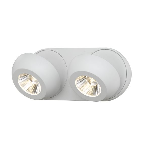 Fantasia OLEO plafonier dimmable 2 x 7W 3000K white