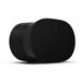 Sonos Era 300 Premium smart speaker Black