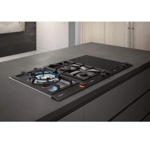 VI232121  Gaggenau